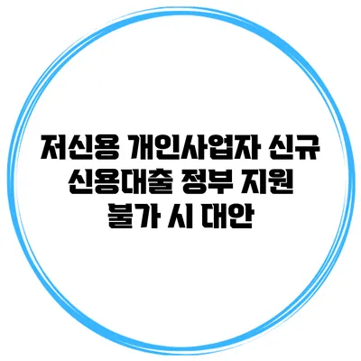 저신용 개인사업자 신규 신용대출 정부 지원 불가 시 대안