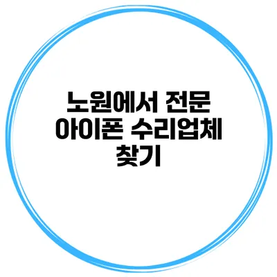 노원에서 전문 아이폰 수리업체 찾기