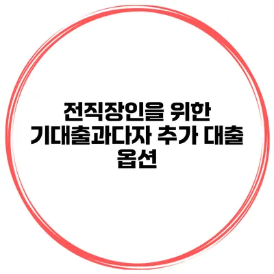 전직장인을 위한 기대출과다자 추가 대출 옵션