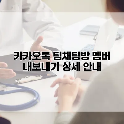 카카오톡 팀채팅방 멤버 내보내기 상세 안내