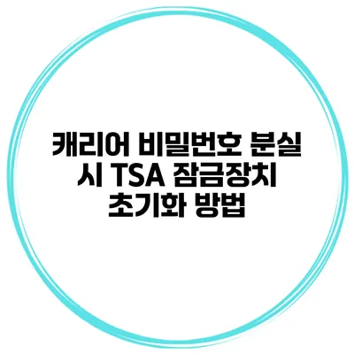 캐리어 비밀번호 분실 시 TSA 잠금장치 초기화 방법