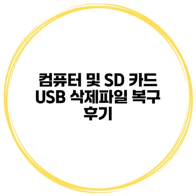 컴퓨터 및 SD 카드 USB 삭제파일 복구 후기