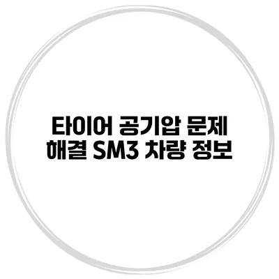 타이어 공기압 문제 해결 SM3 차량 정보