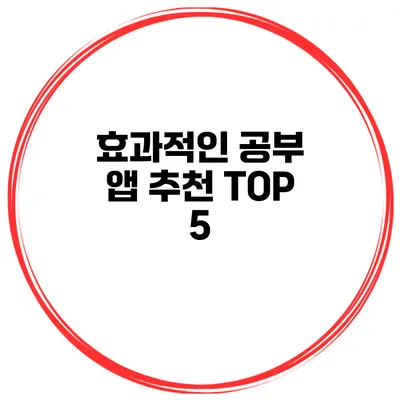 효과적인 공부 앱 추천 TOP 5
